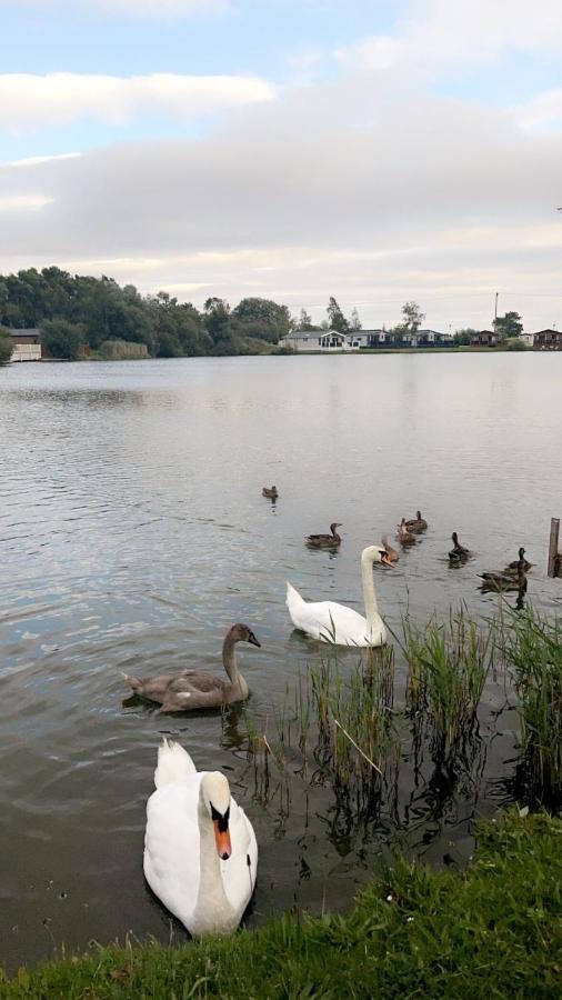Widgeon Bespoke Cabin Is Lakeside With Private Fishing Peg, Hot Tub Situated At Tattershall Lakes Country Park Bagian luar foto
